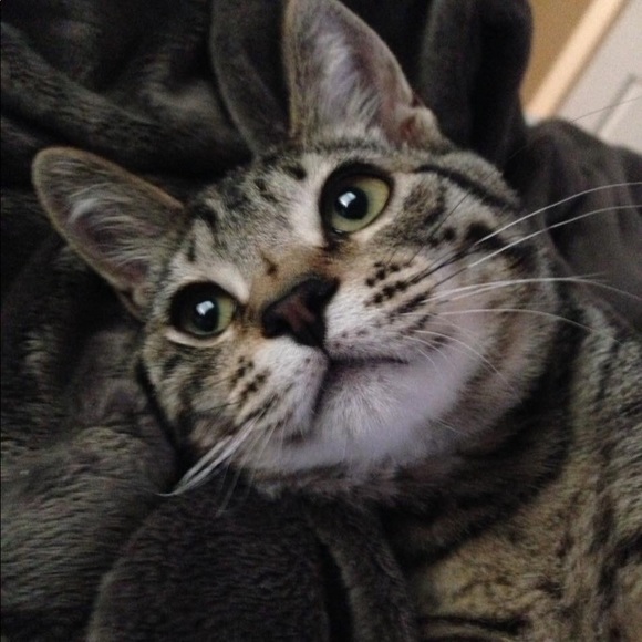 ❤️❤️ Lynnette Loves A Deal - Picture 3 of 11